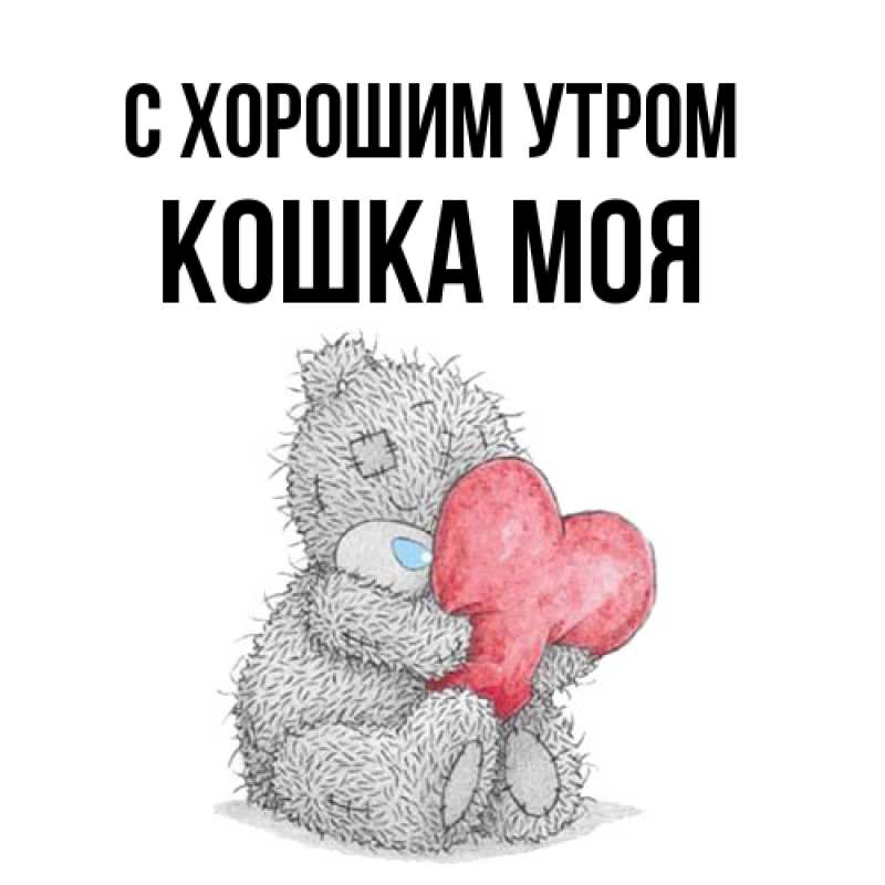 Картинка С хорошим утром, Кошка моя