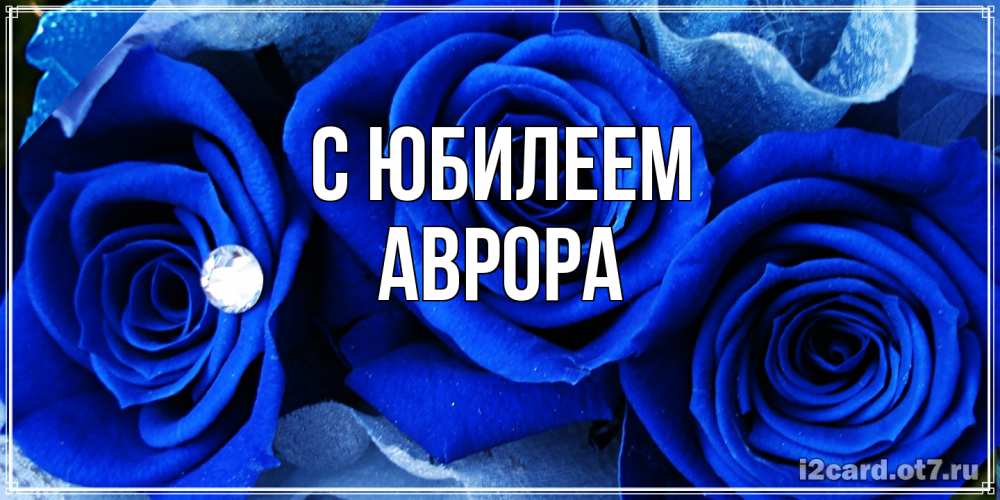 Открытка на каждый день с именем, Аврора C юбилеем синие розы в росе Прикольная открытка с пожеланием онлайн скачать бесплатно 