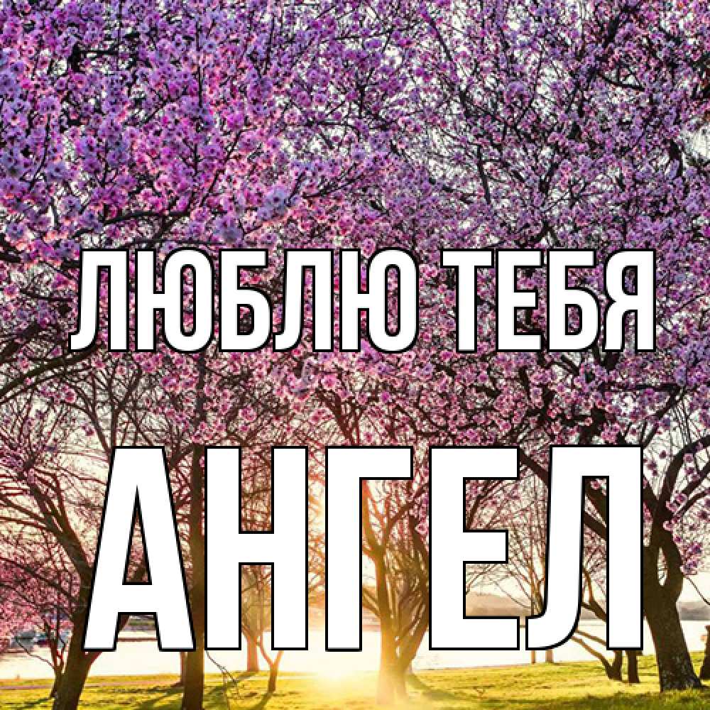 Открытка на каждый день с именем, Ангел Люблю тебя международный женский день Прикольная открытка с пожеланием онлайн скачать бесплатно 