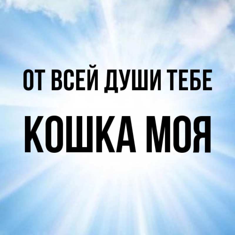 Картинка От всей души тебе, Кошка моя