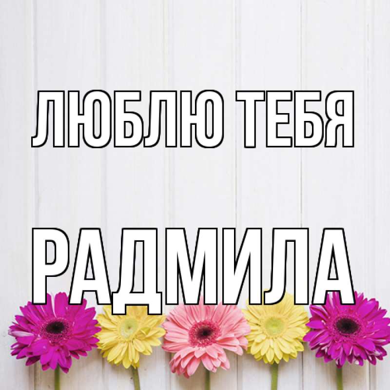 Картинка Люблю тебя, Радмила