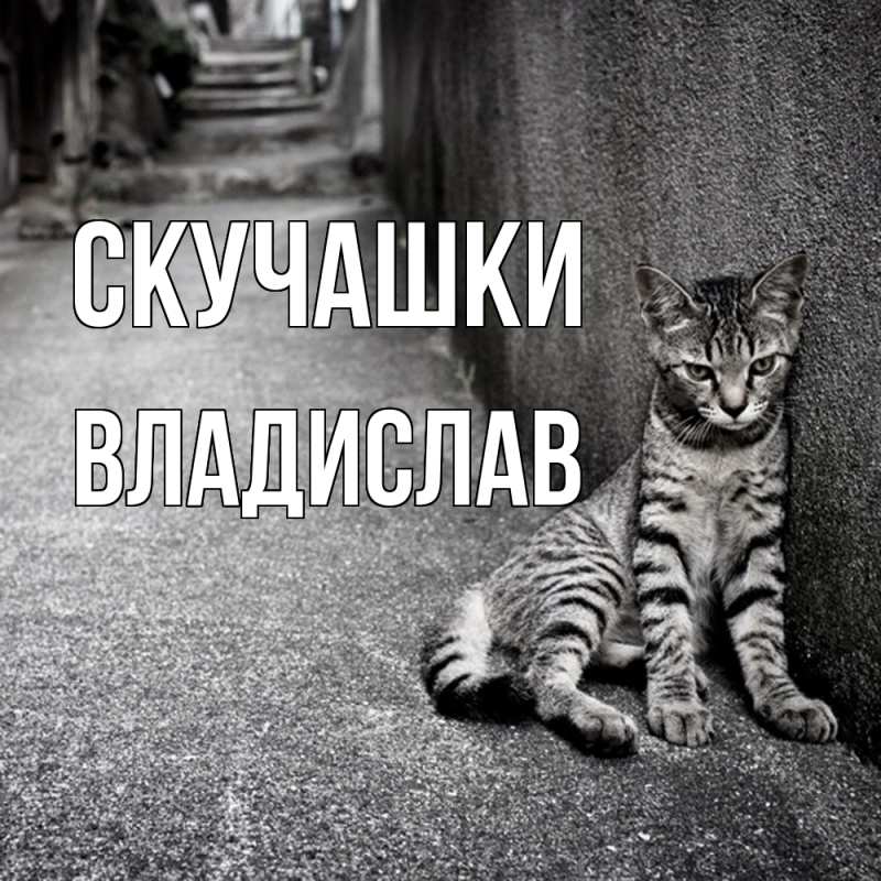 Картинка Скучашки, Владислав