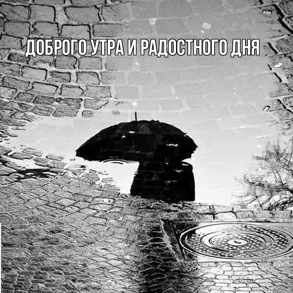 Открытка на каждый день с именем, Ия Не грусти все будет хорошо отражение в луже Прикольная открытка с пожеланием онлайн скачать бесплатно 