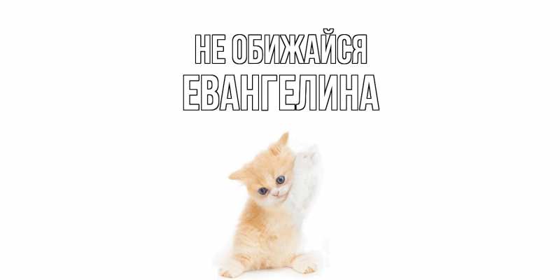 Картинка Не обижайся, Евангелина