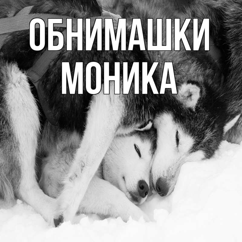 Открытка с именем, Моника, Обнимашки