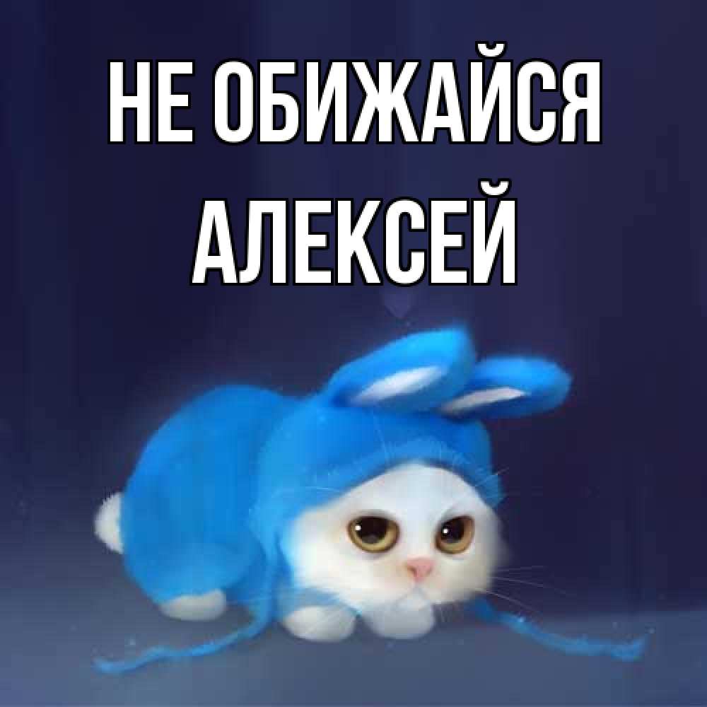 Открытка на каждый день с именем, Алексей Не обижайся невинный котозай просит прощения Прикольная открытка с пожеланием онлайн скачать бесплатно 