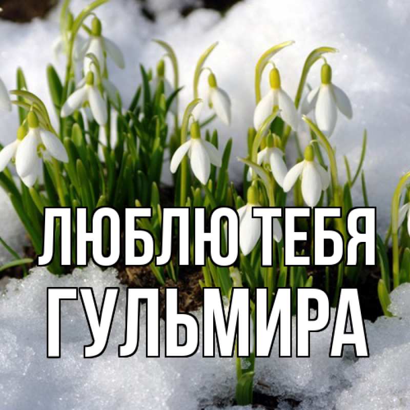 Картинка Люблю тебя, Гульмира
