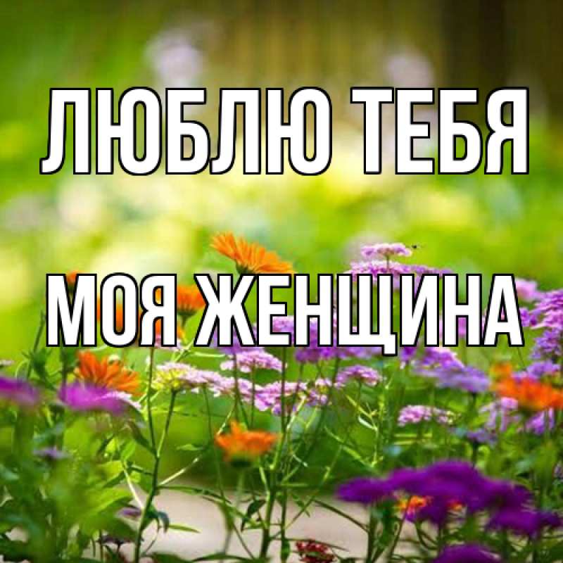 Картинка Люблю тебя, Моя женщина