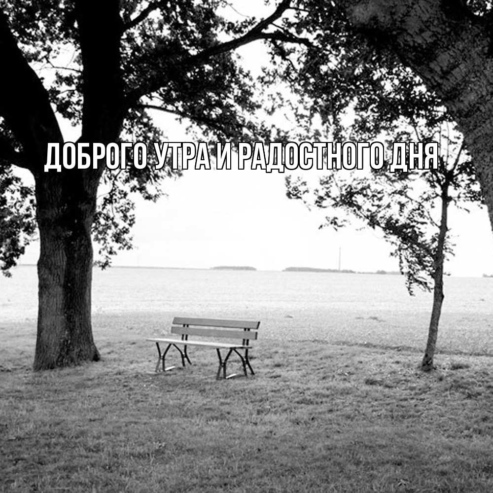 Открытка на каждый день с именем, Ия Не грусти все будет хорошо мощное дерево Прикольная открытка с пожеланием онлайн скачать бесплатно 