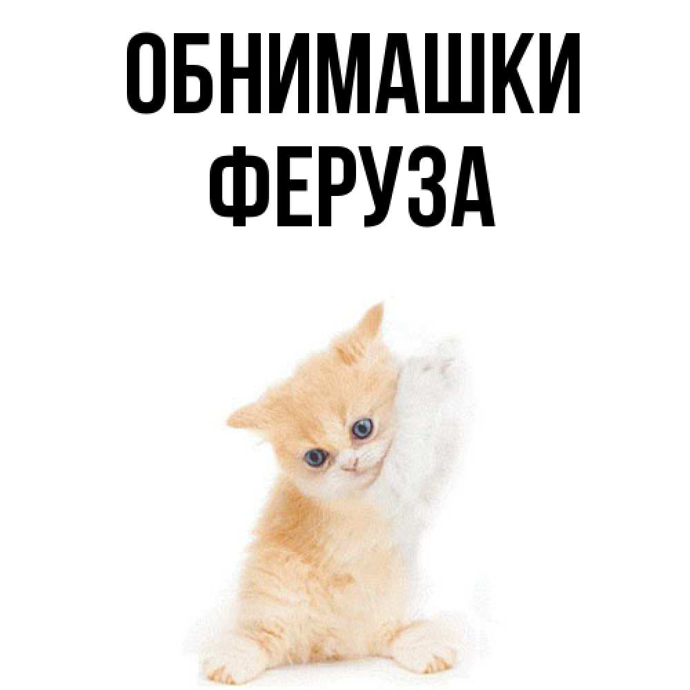 Открытка на каждый день с именем, Феруза Обнимашки я хочу очень скорее обнимаешек Прикольная открытка с пожеланием онлайн скачать бесплатно 