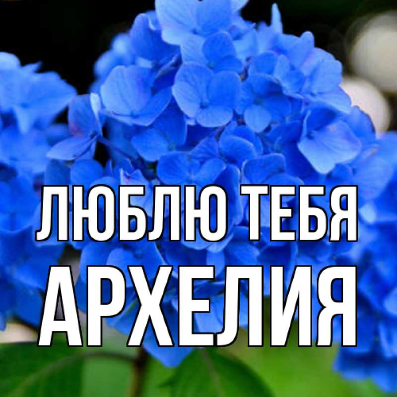 Картинка Люблю тебя, Архелия