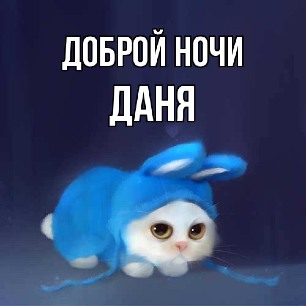 Открытка на каждый день с именем, Даня Доброй ночи кот в голубом костюме кролика с ушками Прикольная открытка с пожеланием онлайн скачать бесплатно 