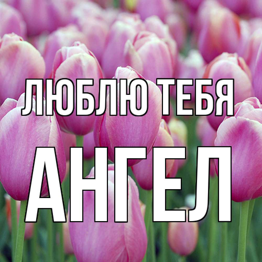 Открытка на каждый день с именем, Ангел Люблю тебя на международный женский день 3 Прикольная открытка с пожеланием онлайн скачать бесплатно 