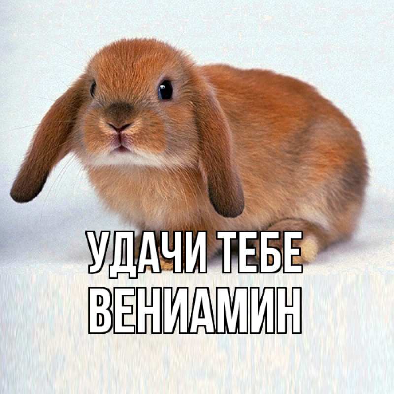 Картинка Удачи тебе, Вениамин