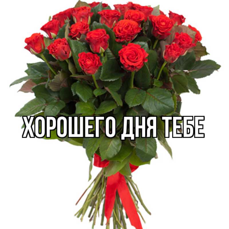 Картинка Люблю тебя, Гастон