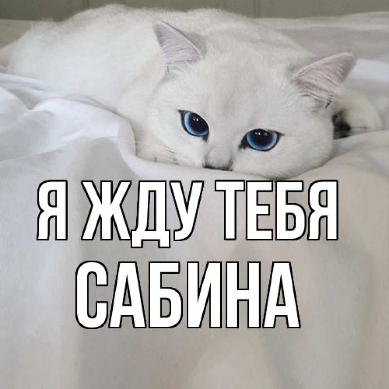 Картинка Я жду тебя, Сабина