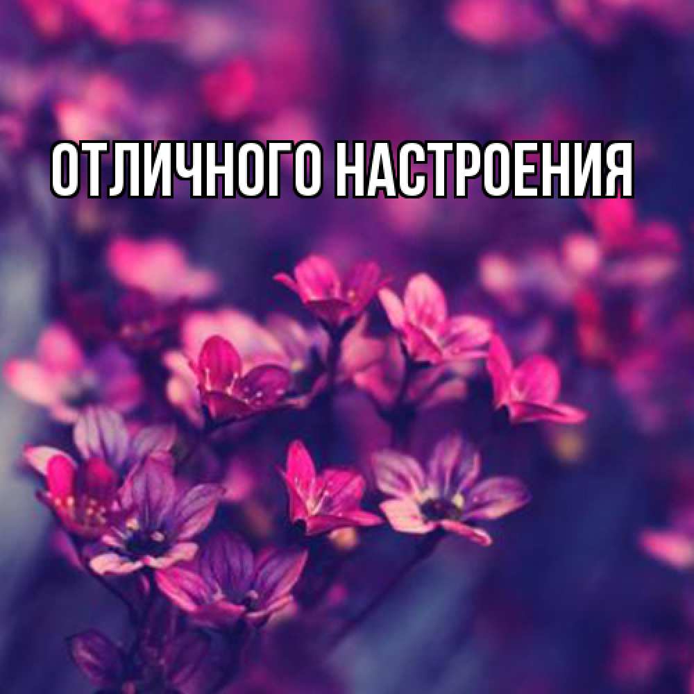 Открытка на каждый день с именем, Габриэлла Люблю тебя небольшие цветы 1 Прикольная открытка с пожеланием онлайн скачать бесплатно 