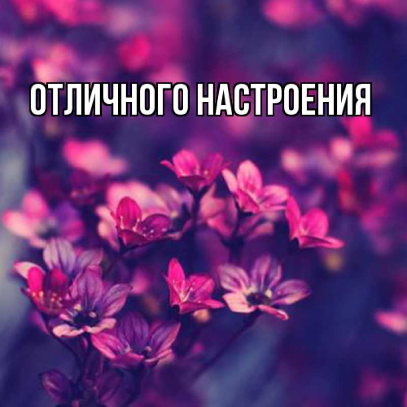 Картинка Люблю тебя, Габриэлла