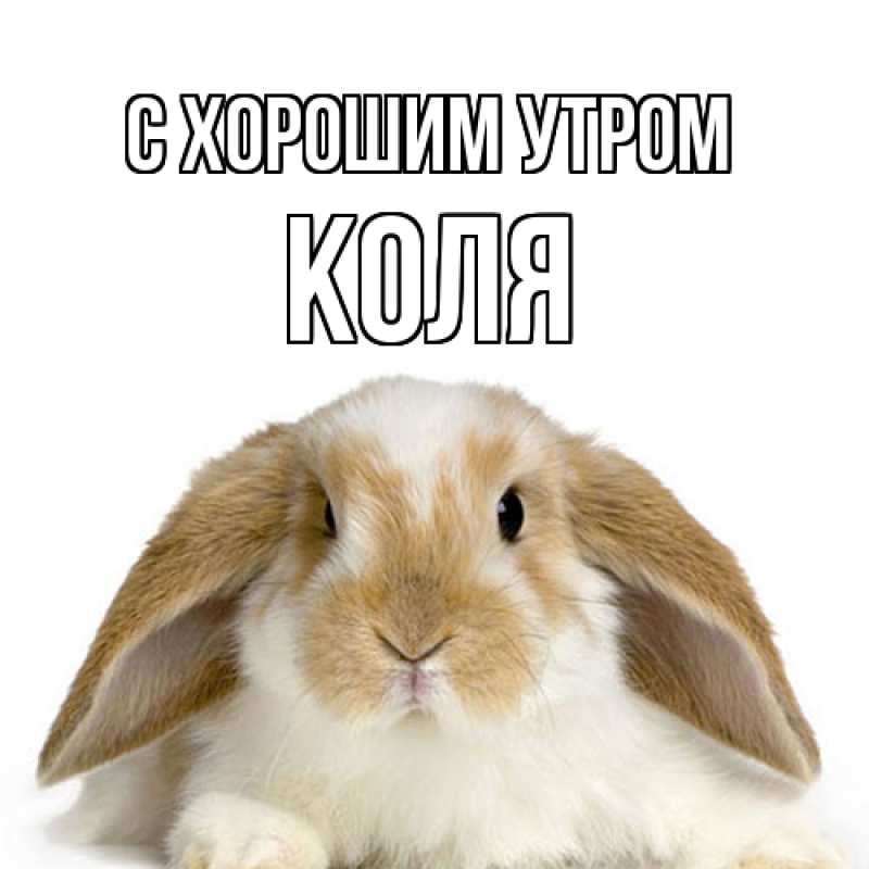 Картинка С хорошим утром, Коля