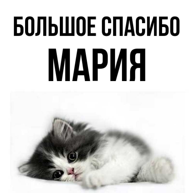 Картинка Большое спасибо, Мария