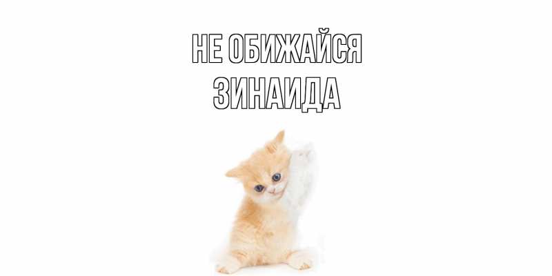 Открытка с именем, Зинаида, Не обижайся