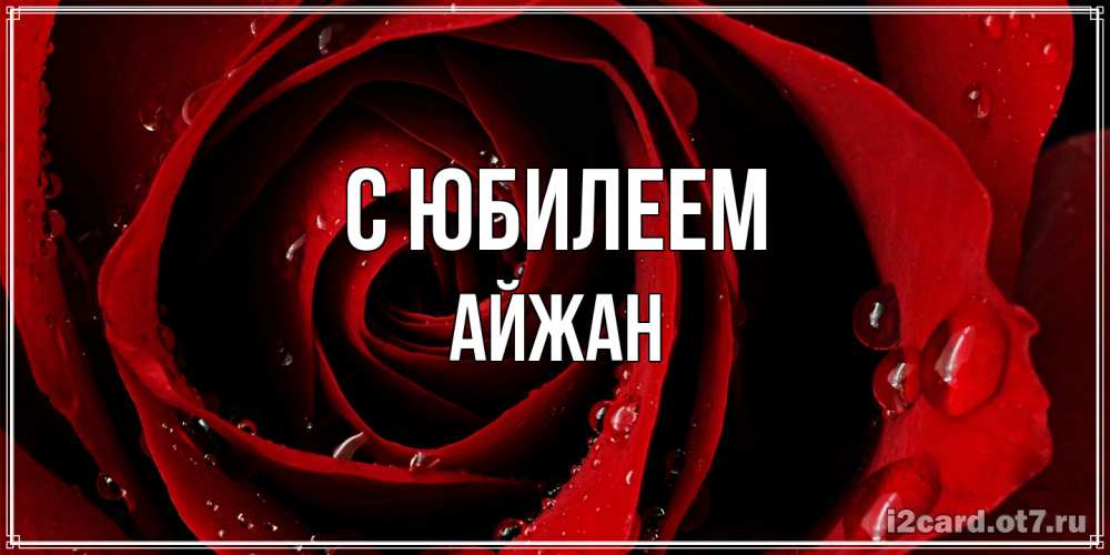 Открытка на каждый день с именем, Айжан C юбилеем крупная бордовая роза Прикольная открытка с пожеланием онлайн скачать бесплатно 