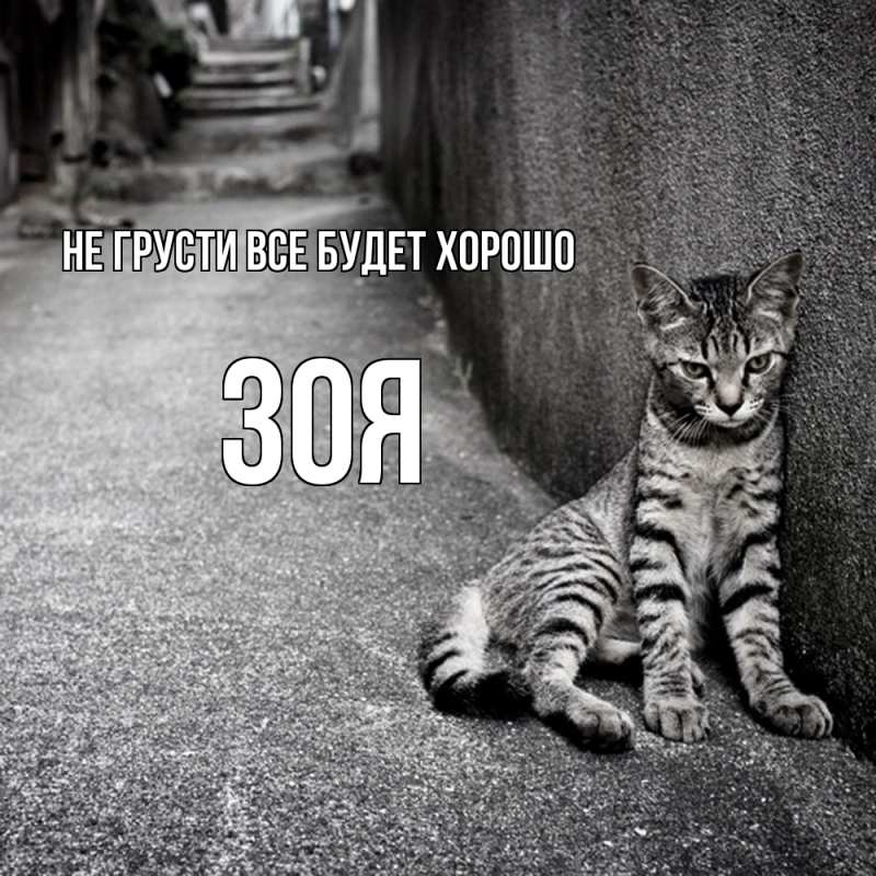 Открытка с именем, Зоя, Не грусти все будет хорошо