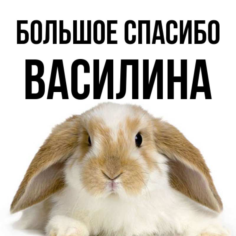 Картинка Большое спасибо, Василина