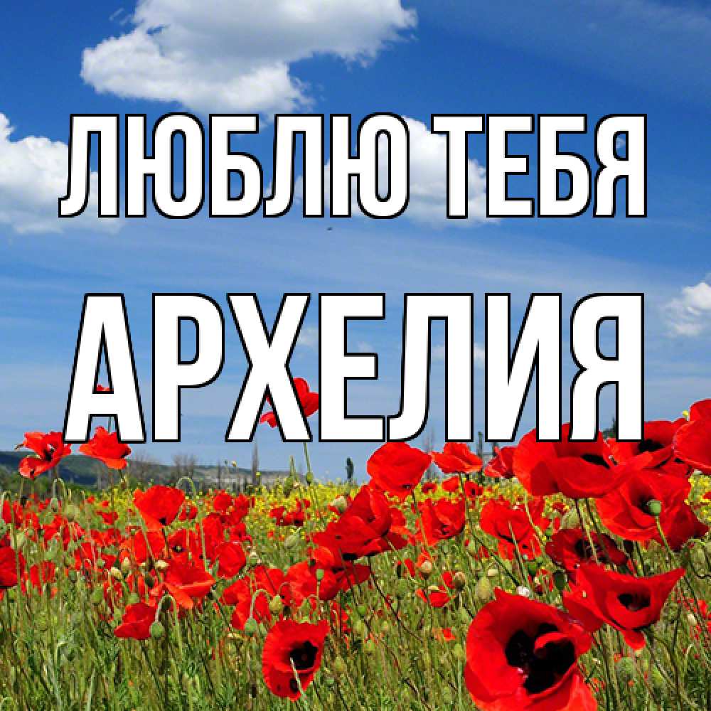 Открытка на каждый день с именем, Архелия Люблю тебя международный женский день 1 Прикольная открытка с пожеланием онлайн скачать бесплатно 