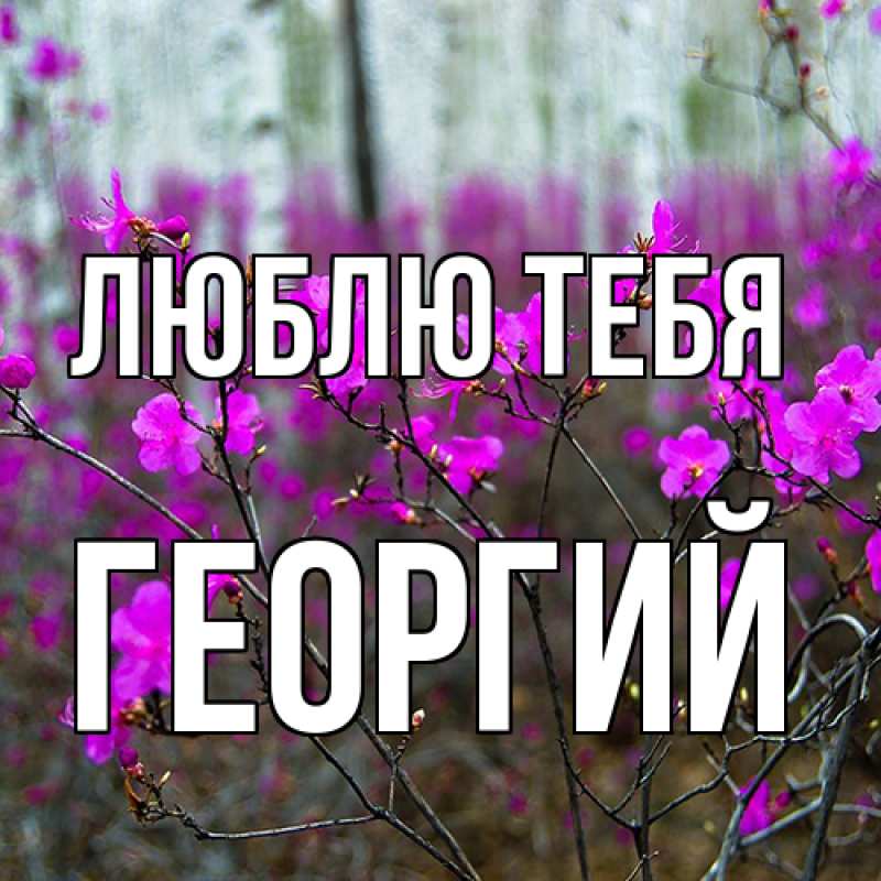 Картинка Люблю тебя, Георгий