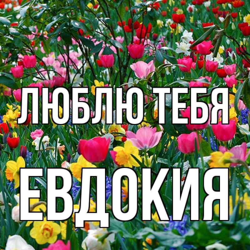 Картинка Люблю тебя, Евдокия