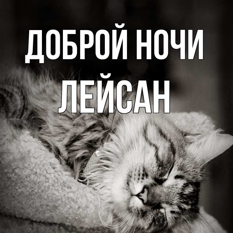Картинка Доброй ночи, Лейсан