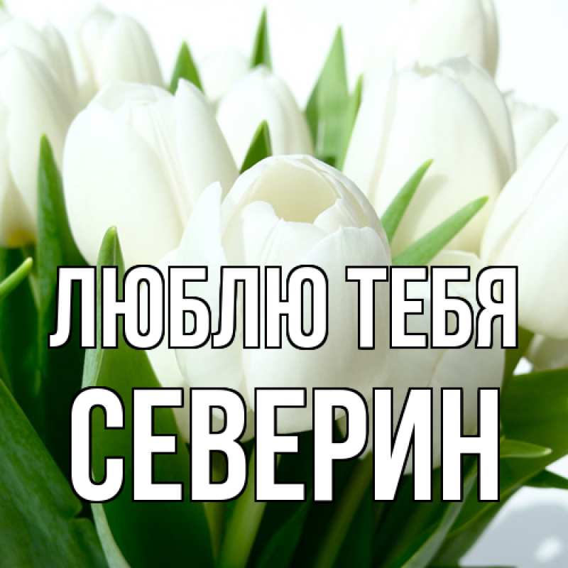 Картинка Люблю тебя, Северин