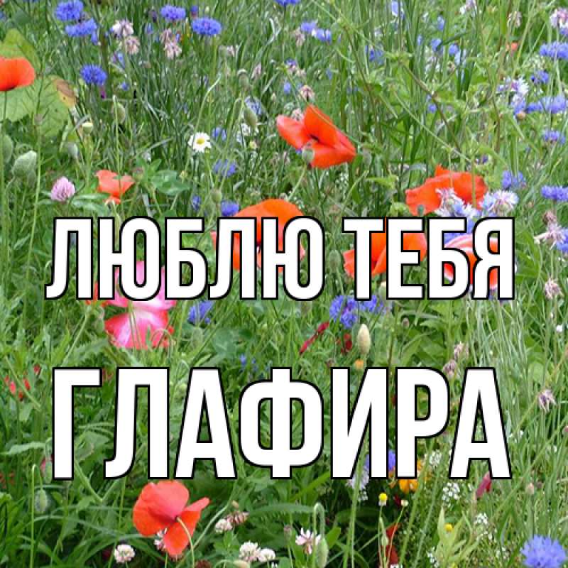 Картинка Люблю тебя, Глафира