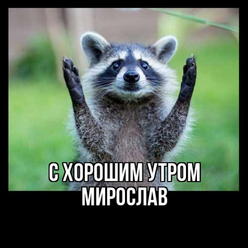 Картинка С хорошим утром, Мирослав