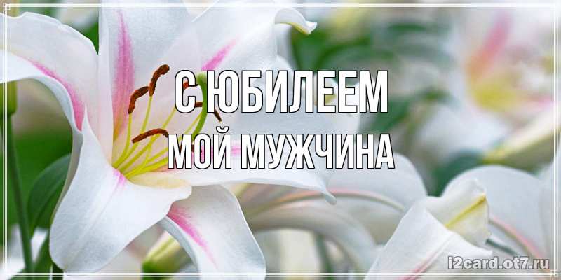 Картинка C юбилеем, Мой мужчина