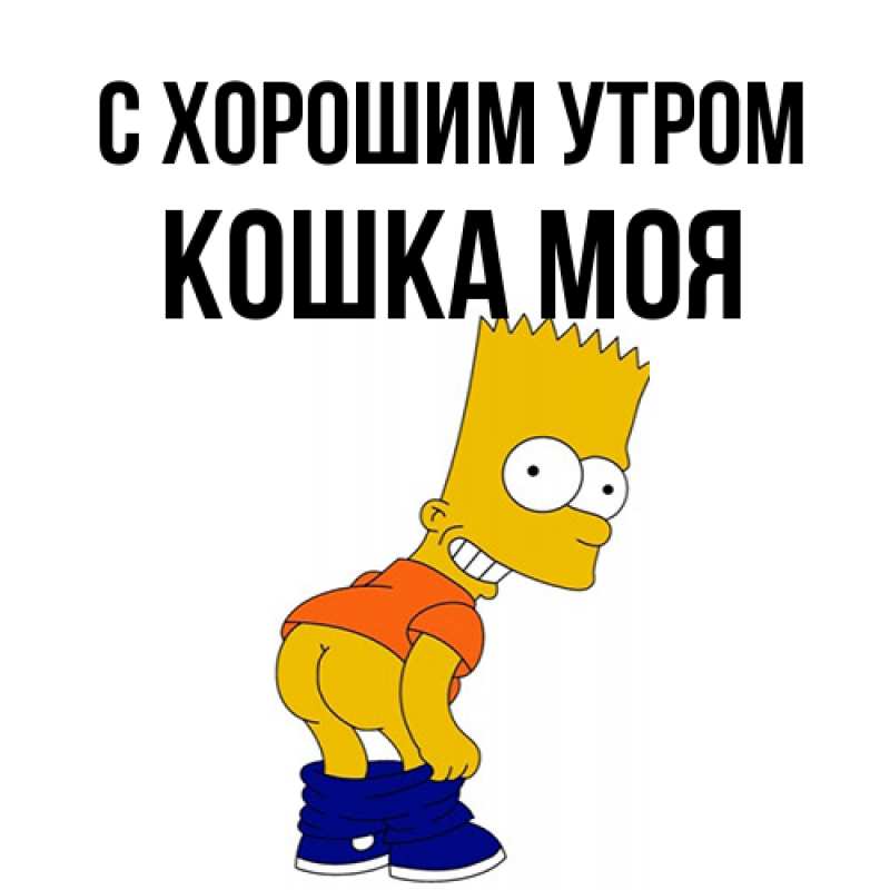 Картинка С хорошим утром, Кошка моя