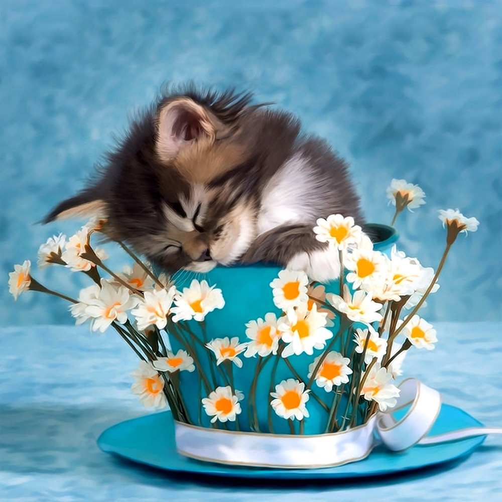 Открытка на каждый день с именем, Кошка Доброй ночи котенок спит в кружке с блюдцем Прикольная открытка с пожеланием онлайн скачать бесплатно 