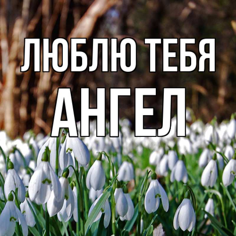 Картинка Люблю тебя, Ангел