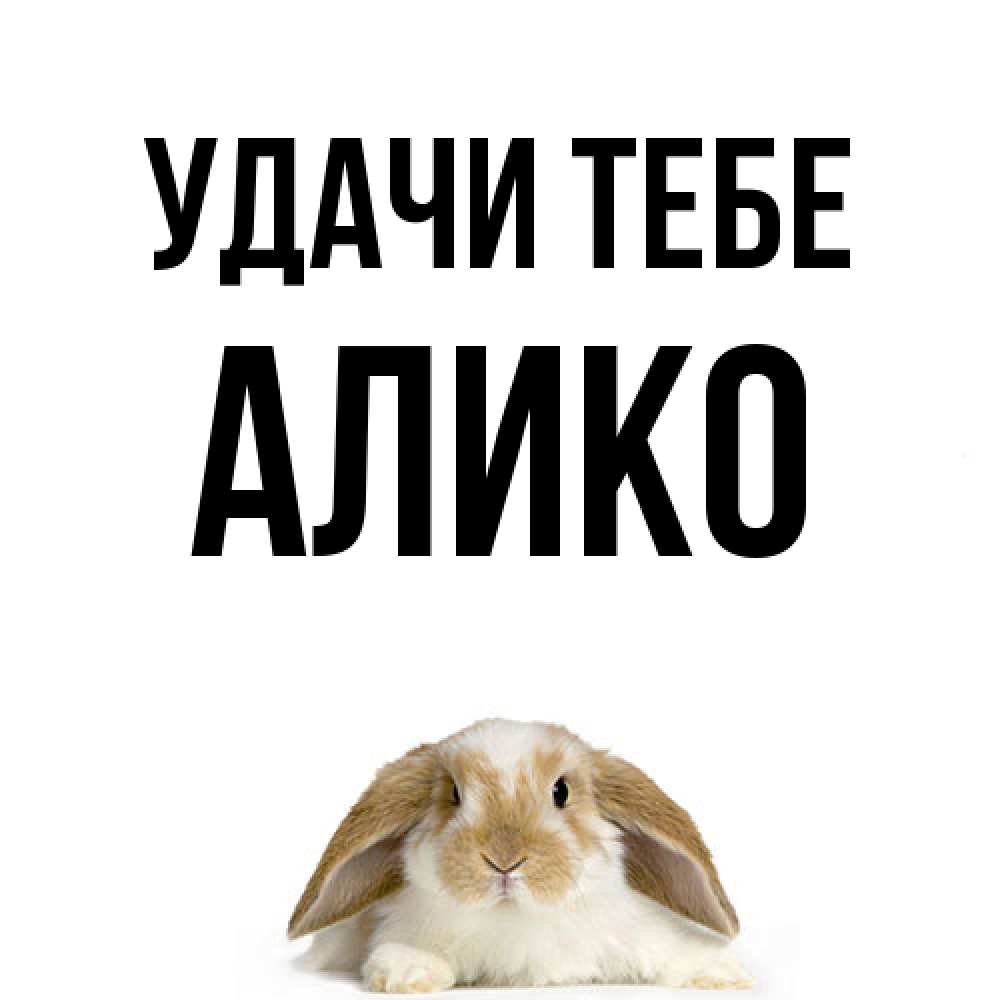 Открытка на каждый день с именем, Алико Удачи тебе открытки с произвольным текстом который можно вставить в открытку и создать ее самостоятельно бесплатно онлайн Прикольная открытка с пожеланием онлайн скачать бесплатно 