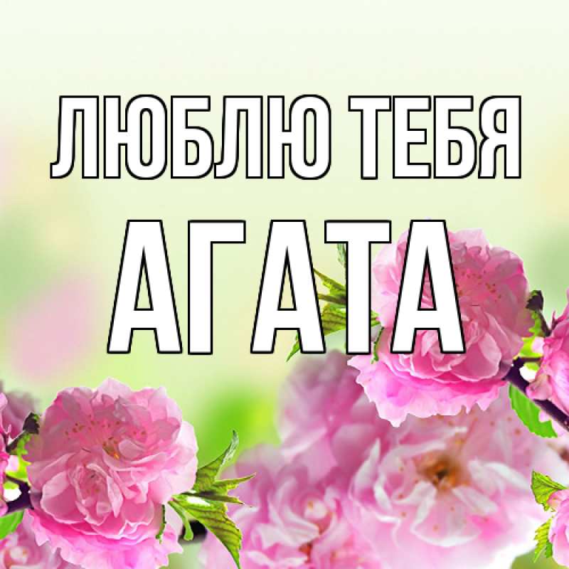 Картинка Люблю тебя, Агата