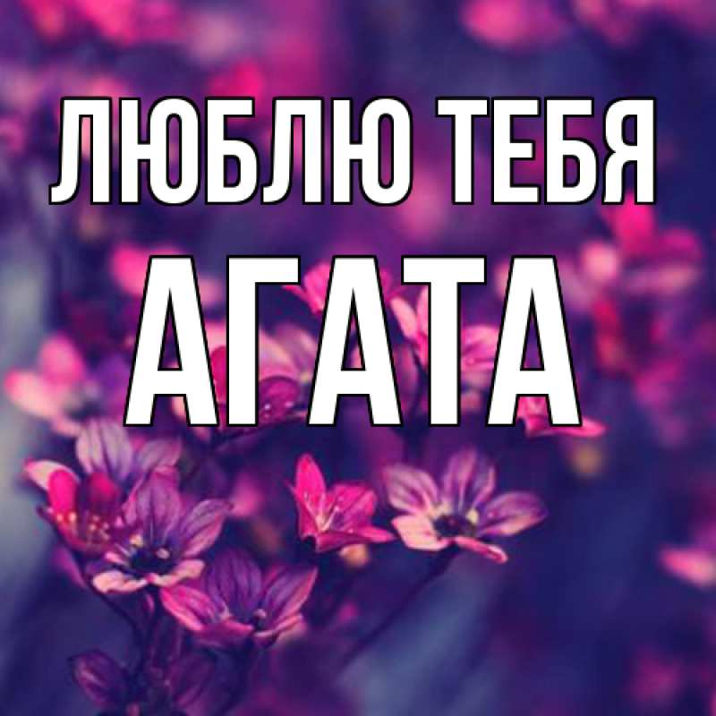 Картинка Люблю тебя, Агата