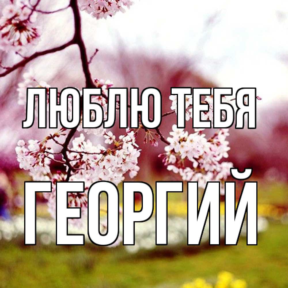 Открытка на каждый день с именем, Георгий Люблю тебя яблоня Прикольная открытка с пожеланием онлайн скачать бесплатно 