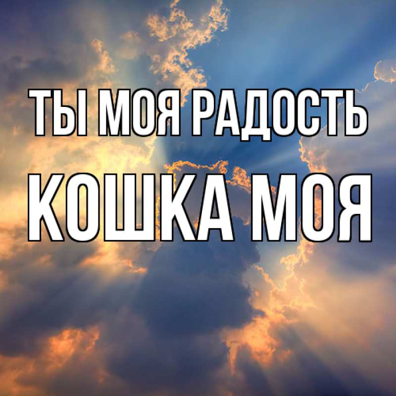 Картинка Ты моя радость, Кошка моя