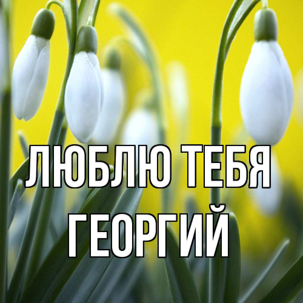 Открытка на каждый день с именем, Георгий Люблю тебя весенние цветы Прикольная открытка с пожеланием онлайн скачать бесплатно 