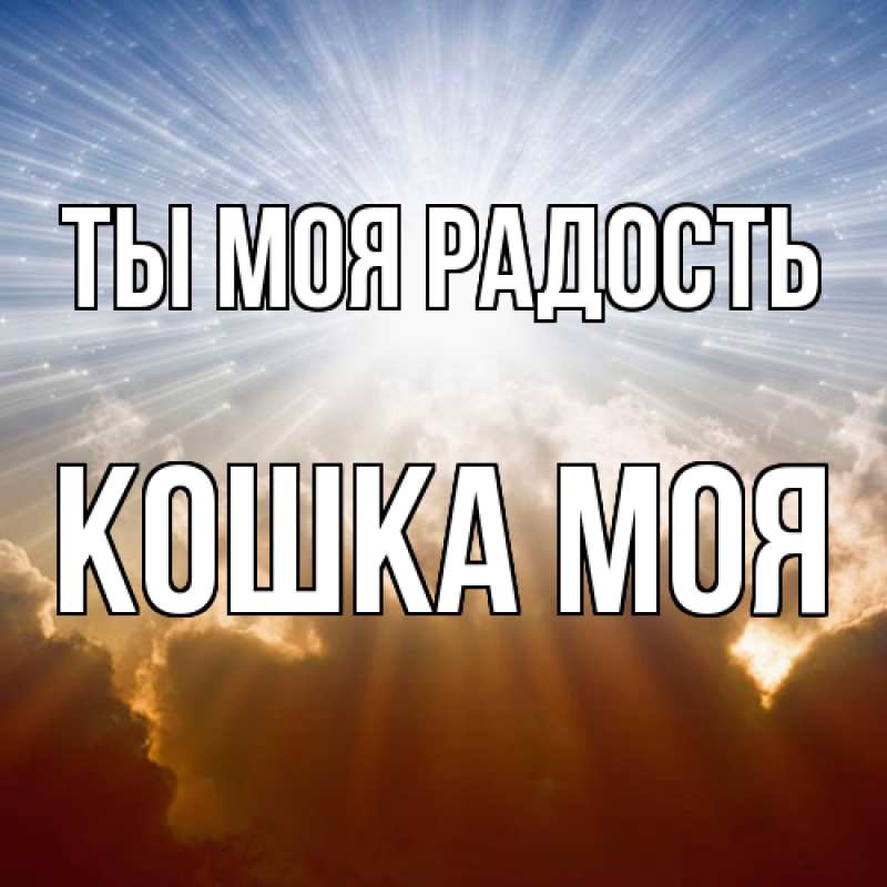 Картинка Ты моя радость, Кошка моя