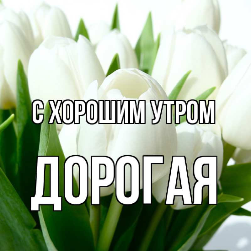 Картинка С хорошим утром, Дорогая
