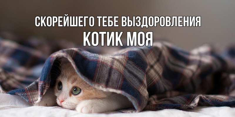 Картинка Скорейшего тебе выздоровления, Котик моя