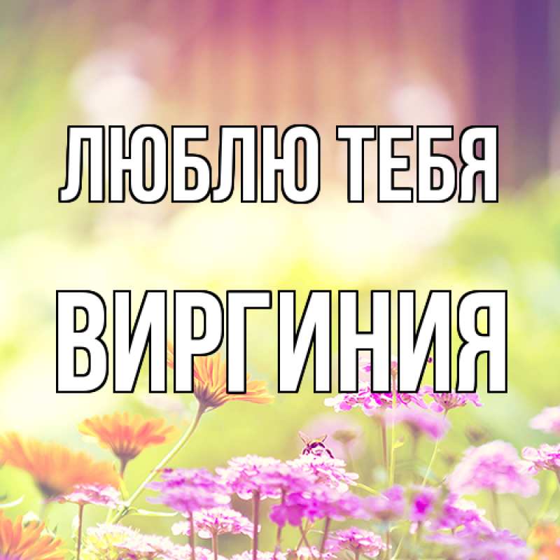 Открытка с именем, Виргиния, Люблю тебя