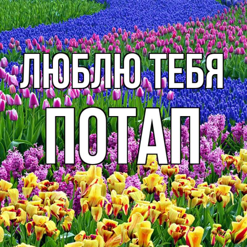 Открытка с именем, Потап, Люблю тебя